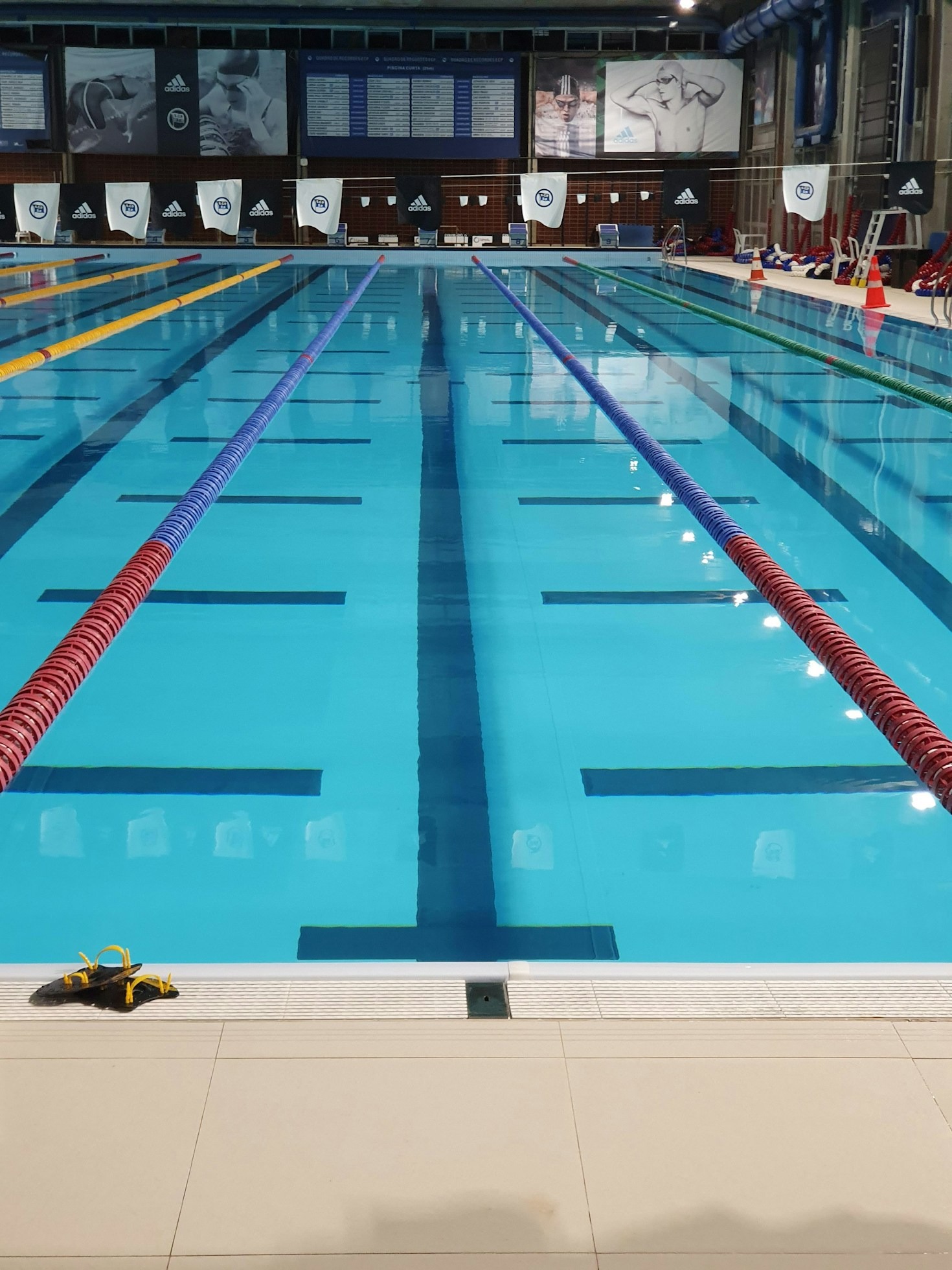 Schwimmkurse: Anfänger bis Fortgeschrittene beim SSCRJ